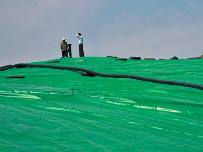 1712117561331228.jpg 83.jpg